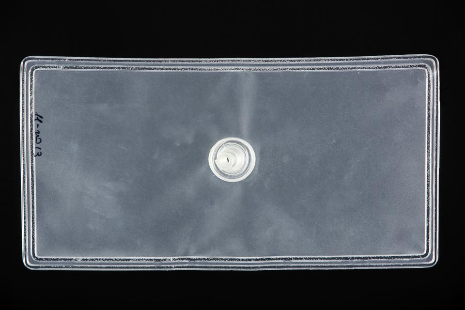 VESCICA ADDOME RETTANGOLO Image